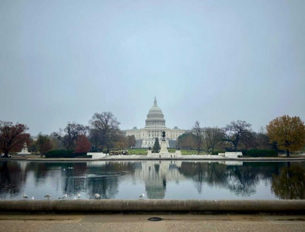 View of the U.S. Capitol Building in Washington, D.C.